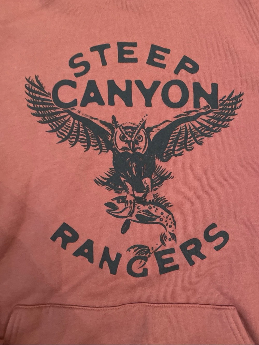 Bella+Canvas Dusty Rose Fleece Pullover with Navy Graphic